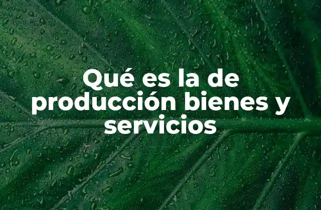Qué es la de Producción Bienes y Servicios