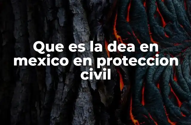 Que es la Dea en Mexico en Proteccion Civil
