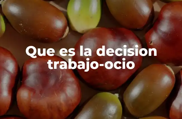 Que es la Decision Trabajo-ocio