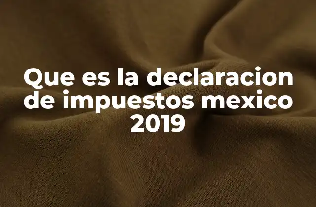 Que es la Declaracion de Impuestos Mexico 2019