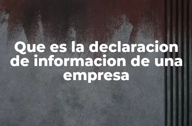 Que es la Declaracion de Informacion de una Empresa