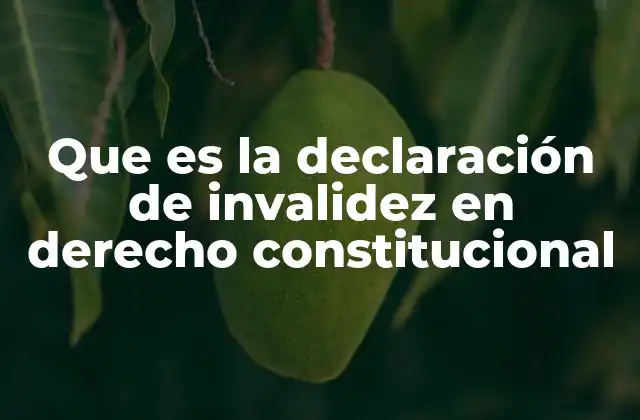 Que es la Declaración de Invalidez en Derecho Constitucional