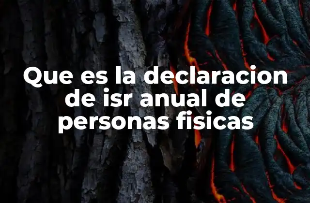 Que es la Declaracion de Isr Anual de Personas Fisicas