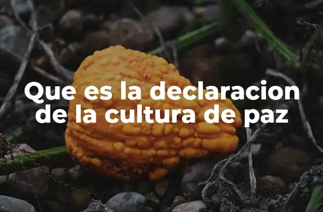 Que es la Declaracion de la Cultura de Paz
