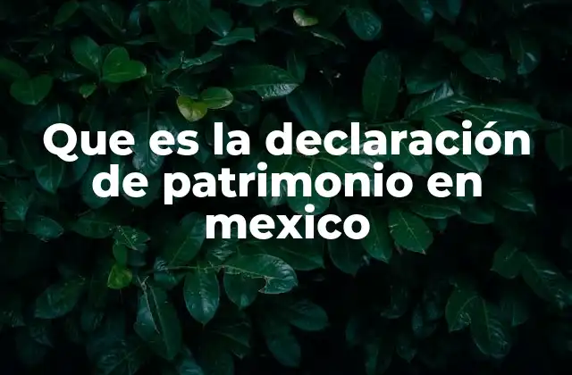 Que es la Declaración de Patrimonio en Mexico