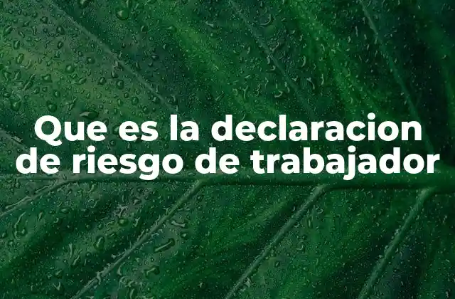 Que es la Declaracion de Riesgo de Trabajador