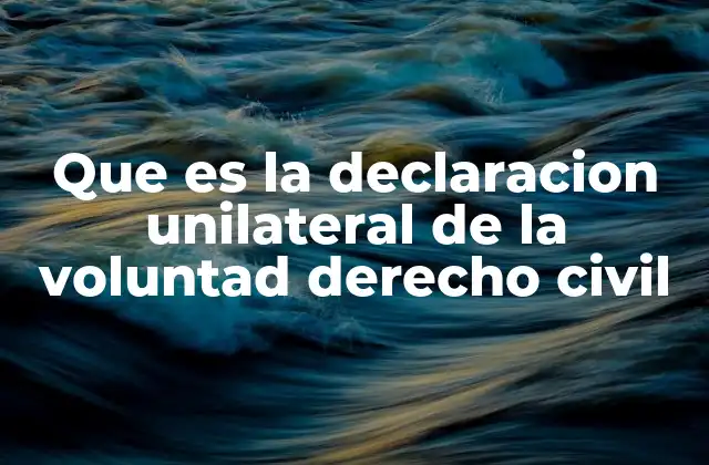 Que es la Declaracion Unilateral de la Voluntad Derecho Civil