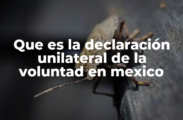 Que es la Declaración Unilateral de la Voluntad en Mexico