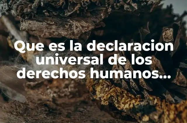 Que es la Declaracion Universal de los Derechos Humanos Ejemplos