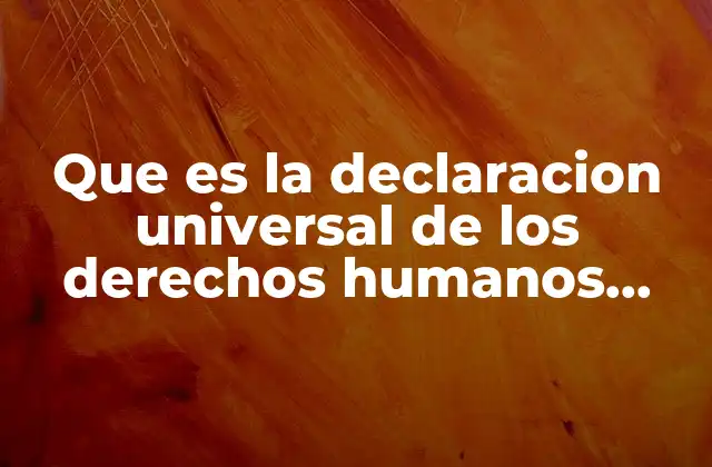 Que es la Declaracion Universal de los Derechos Humanos Resumen