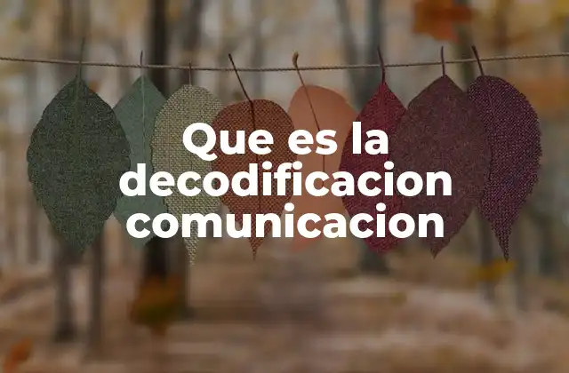 Que es la Decodificacion Comunicacion