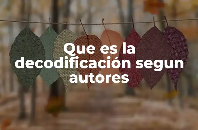 Que es la Decodificación Segun Autores