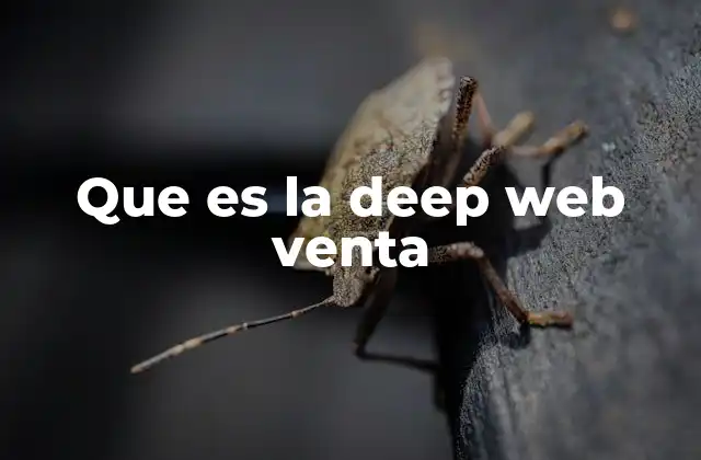 Que es la Deep Web Venta