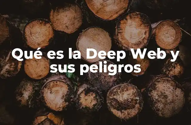 Qué es la Deep Web y Sus Peligros