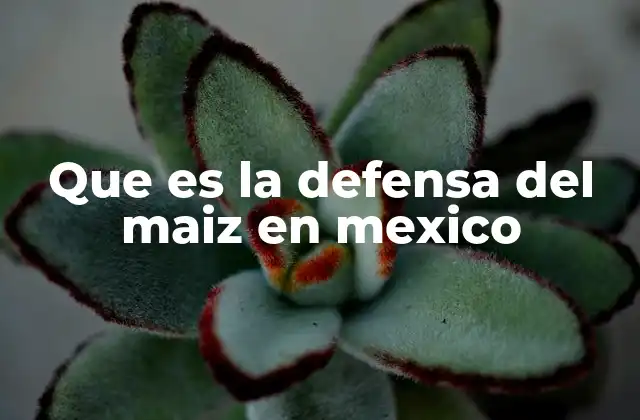 Que es la Defensa Del Maiz en Mexico
