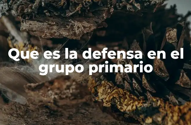 Que es la Defensa en el Grupo Primario