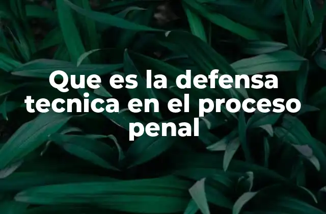 Que es la Defensa Tecnica en el Proceso Penal 2 El papel de la defensa técnica en la justicia penal