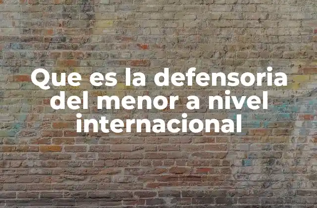 Que es la Defensoria Del Menor a Nivel Internacional