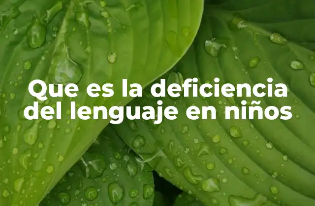 Que es la Deficiencia Del Lenguaje en Niños 2 Cómo se manifiesta el trastorno del lenguaje en la vida cotidiana