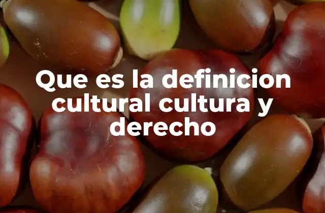 Que es la Definicion Cultural Cultura y Derecho