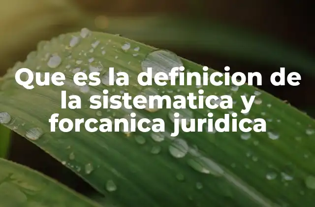 Que es la Definicion de la Sistematica y Forcanica Juridica