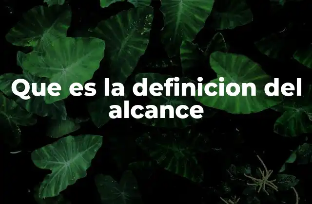 Que es la Definicion Del Alcance