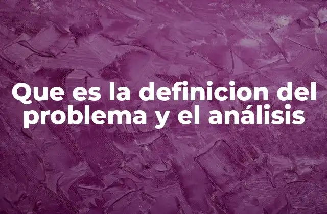 Que es la Definicion Del Problema y el Análisis