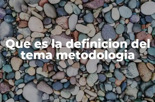 Que es la Definicion Del Tema Metodologia