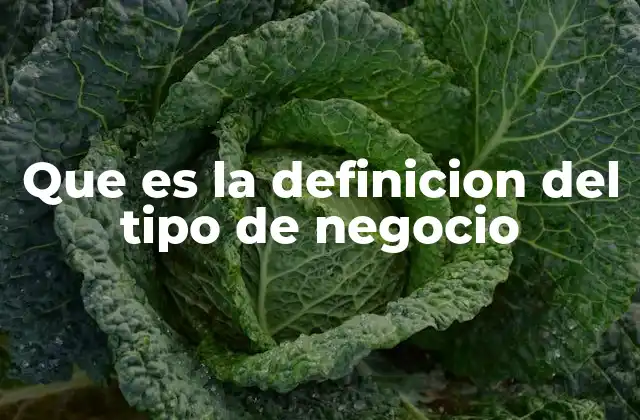 Que es la Definicion Del Tipo de Negocio 2 Cómo identificar el tipo de negocio de una empresa