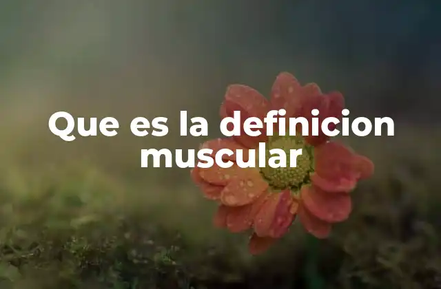 Que es la Definicion Muscular