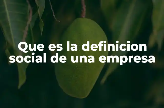 Que es la Definicion Social de una Empresa