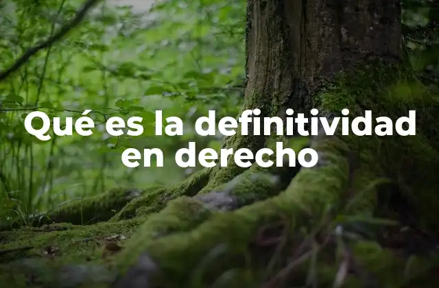 Qué es la Definitividad en Derecho