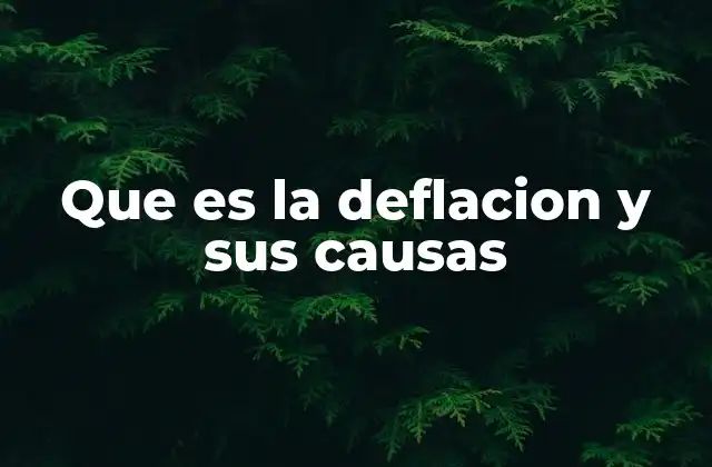 Que es la Deflacion y Sus Causas