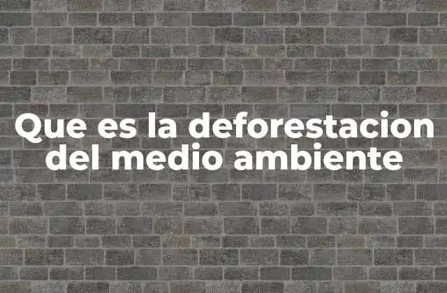 Impactos ecológicos de la pérdida de cobertura forestal