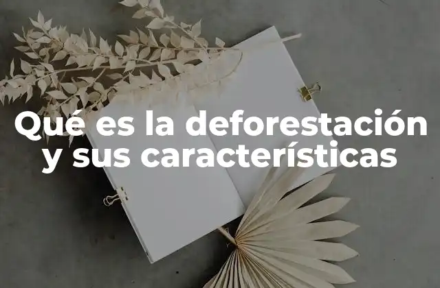 Qué es la Deforestación y Sus Características