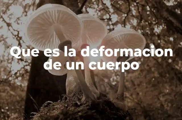 Que es la Deformacion de un Cuerpo