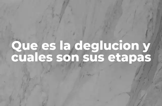 El proceso de tragar y su importancia en la nutrición