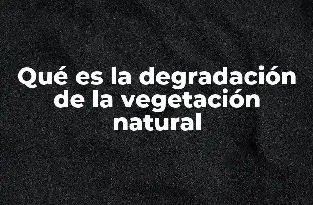 Qué es la Degradación de la Vegetación Natural 2 Factores que afectan la salud de los ecosistemas vegetales