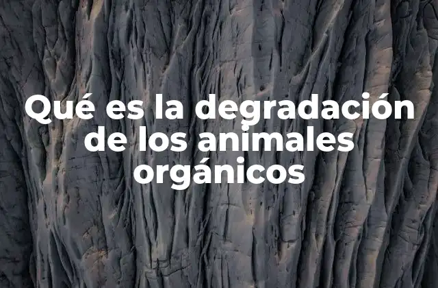 Qué es la Degradación de los Animales Orgánicos