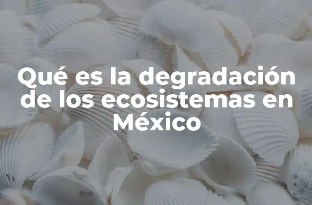 Qué es la Degradación de los Ecosistemas en México