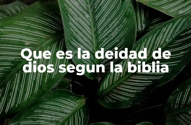 Que es la Deidad de Dios Segun la Biblia