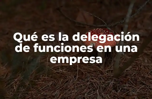 Qué es la Delegación de Funciones en una Empresa