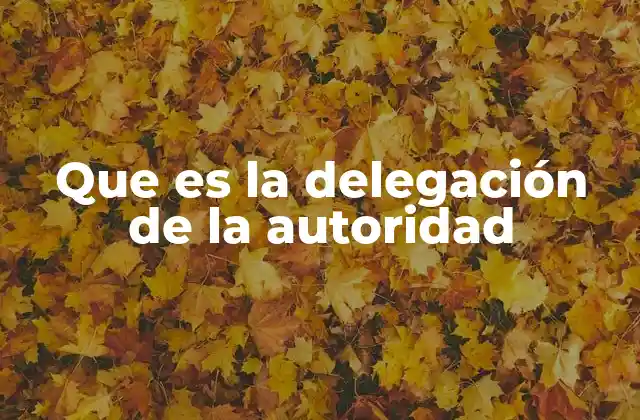 Que es la Delegación de la Autoridad