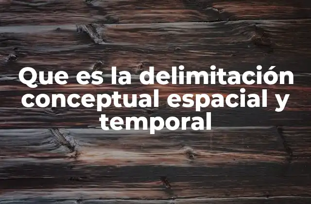 Que es la Delimitación Conceptual Espacial y Temporal