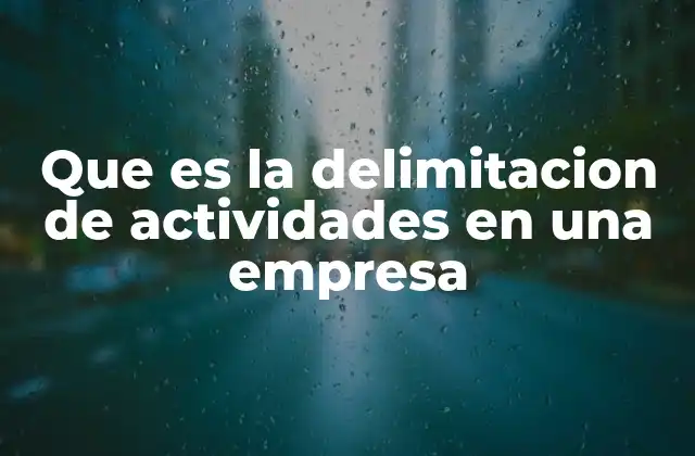 Que es la Delimitacion de Actividades en una Empresa