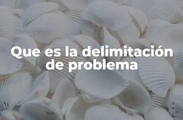 Que es la Delimitación de Problema