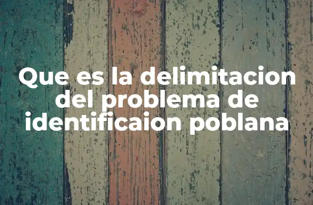 Que es la Delimitacion Del Problema de Identificaion Poblana