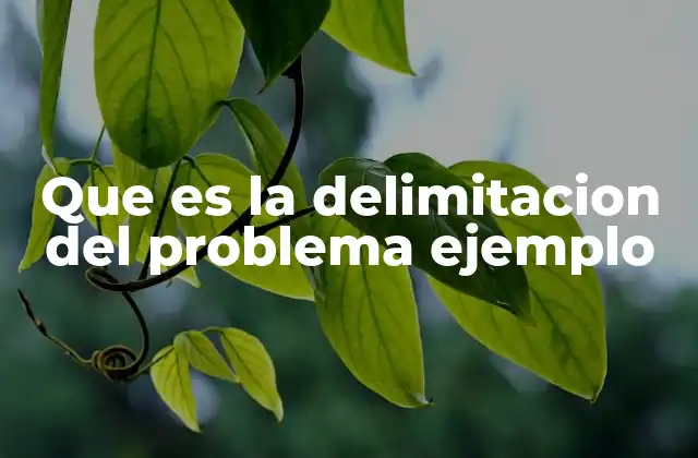 Que es la Delimitacion Del Problema Ejemplo