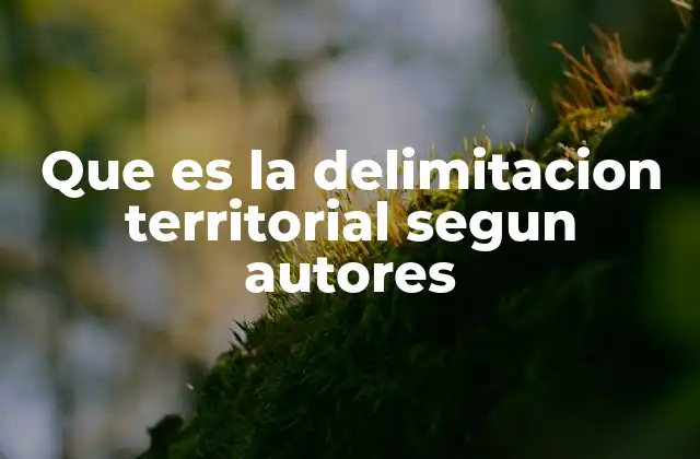 Que es la Delimitacion Territorial Segun Autores