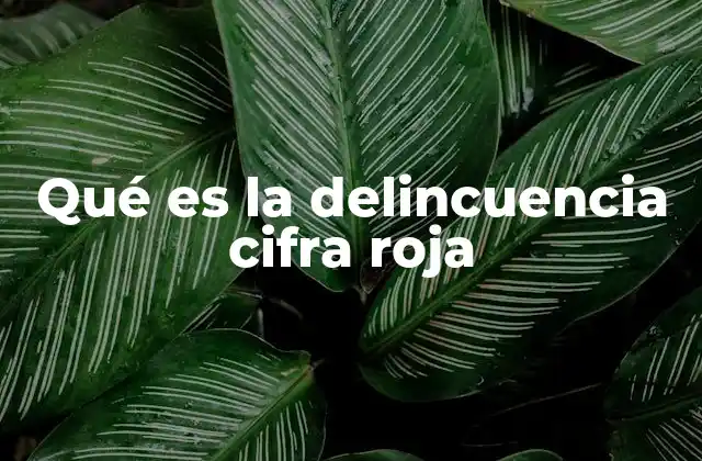 Qué es la Delincuencia Cifra Roja
